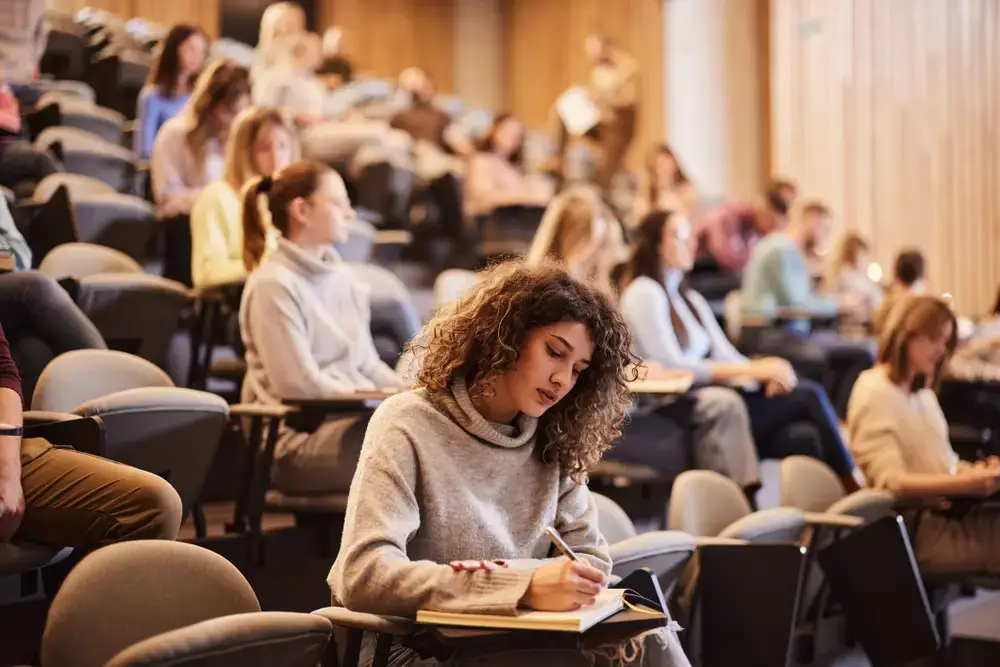 Undergraduate Degrees